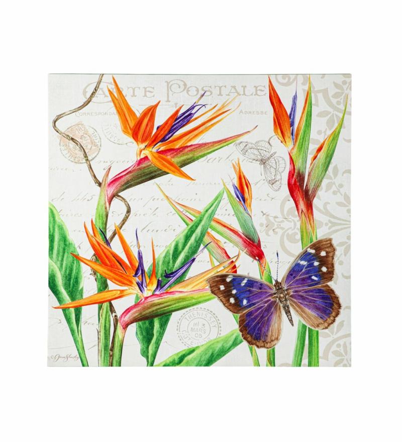 Wall Art |   Butterfly And Bird Of Paradise 24"X 24" Outdoor Canvas, 1.5"W x 24"H x 24"D Home Decor Wall Art